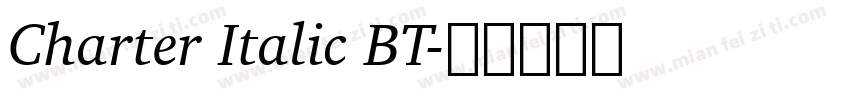 Charter Italic BT字体转换